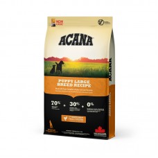 Acana Puppy Large Breed Recipe сухий корм для цуценят великих порід з куркою 11,4 кг