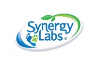 SynergyLabs