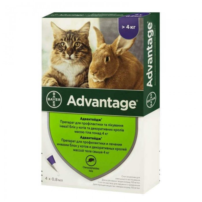 Bayer Advantage 80 (Адвантейдж) краплі п\п для котів більше 4кг.