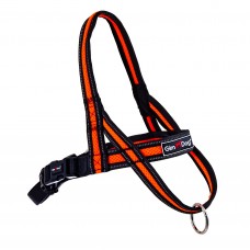 GimDog Alfresco Y шлея для собак середніх та великих порід (помаранчева) M-L