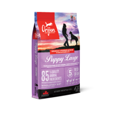 Orijen Puppy Large Breed сухий корм для цуценят великих порід з куркою та індичкою 11,4 кг