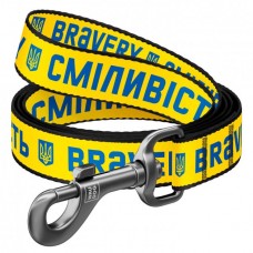 Collar WAUDOG Nylon нейлоновий повідець "Сміливість" для собак малих порід 1,22 м