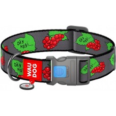 Collar WAUDOG Nylon нейлоновий нашийник "Калина" з QR паспортом для собак XXL