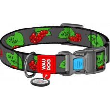 Collar WAUDOG Nylon нейлоновий нашийник "Калина" з QR паспортом для собак S