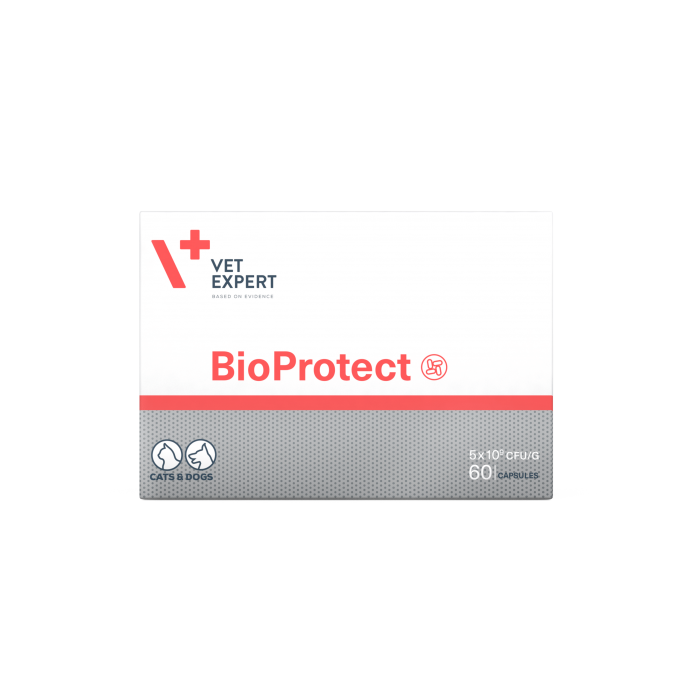 Vet Expert BioProtect харчова добавка для котів і собак з порушенням балансу мікрофлори шлунково-кишкового тракту 60 капс.